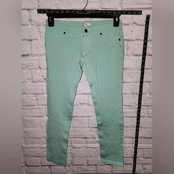 Papaya Teal Pants with Stretch Size Large - Picture 1 of 5
